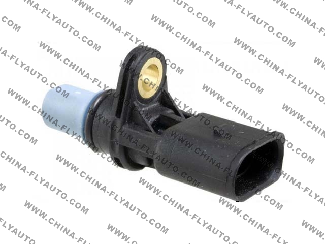 06C905163B<br>Sensor,Fly auto parts